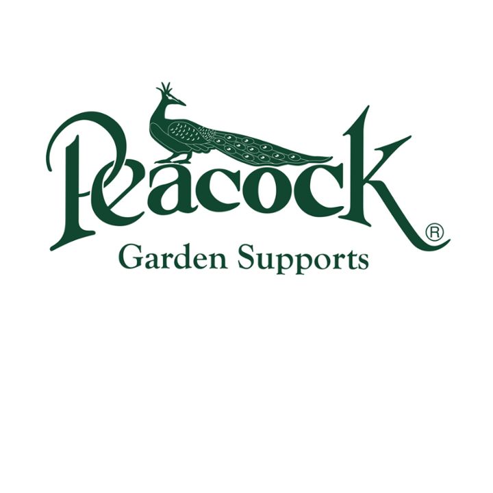 Peacock Garden Supports 