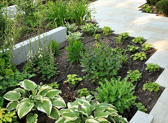 Bewässerungssysteme für Garten und Terrasse